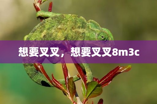 想要叉叉，想要叉叉8m3c