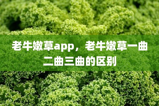 老牛嫩草app，老牛嫩草一曲二曲三曲的区别