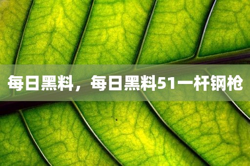每日黑料，每日黑料51一杆钢枪