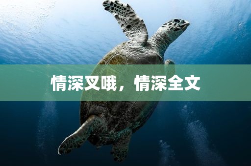 情深叉哦，情深全文