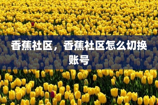 香蕉社区，香蕉社区怎么切换账号