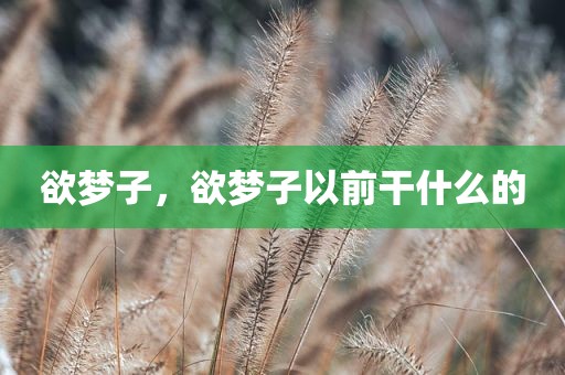 欲梦子，欲梦子以前干什么的