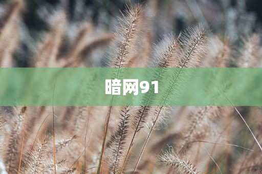 暗网91