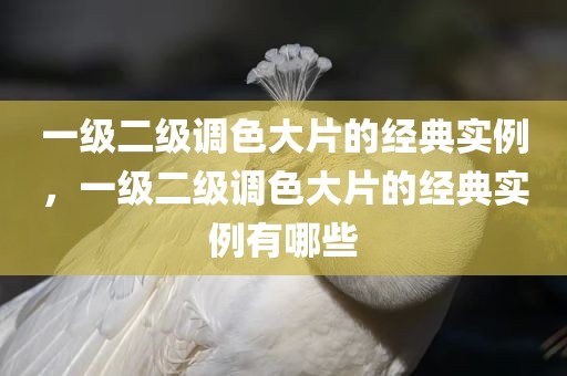 一级二级调色大片的经典实例，一级二级调色大片的经典实例有哪些
