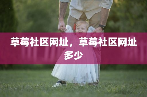 草莓社区网址，草莓社区网址多少
