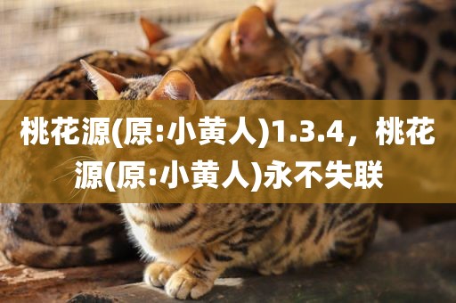桃花源(原:小黄人)1.3.4，桃花源(原:小黄人)永不失联