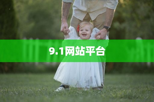 9.1网站平台