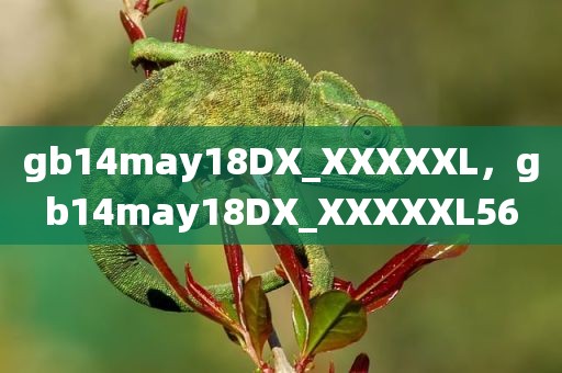 gb14may18DX_XXXXXL，gb14may18DX_XXXXXL56
