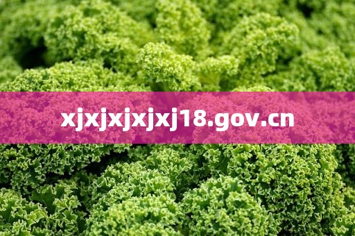 xjxjxjxjxj18.gov.cn