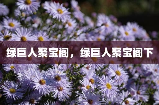 绿巨人聚宝阁，绿巨人聚宝阁下