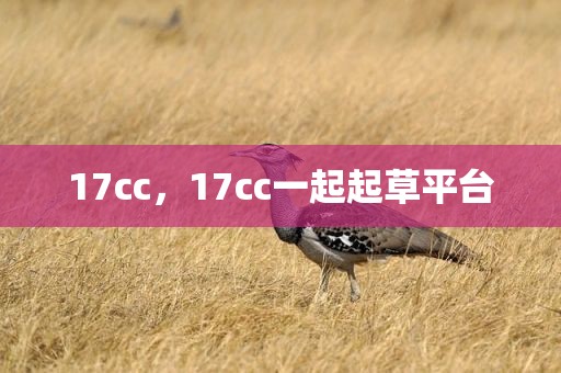 17cc，17cc一起起草平台