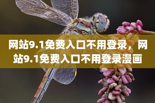 网站9.1免费入口不用登录，网站9.1免费入口不用登录漫画