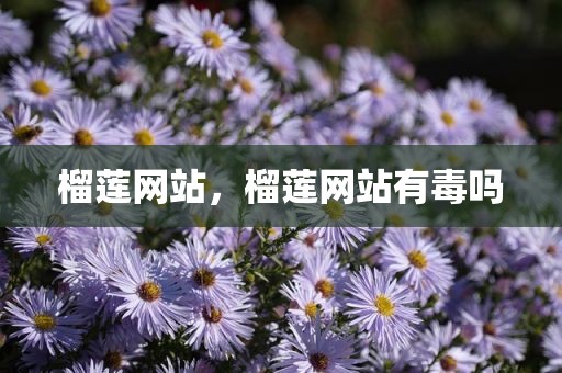 榴莲网站，榴莲网站有毒吗