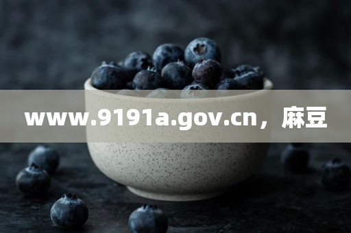www.9191a.gov.cn，麻豆