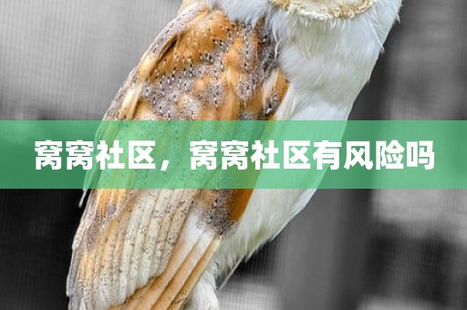 窝窝社区，窝窝社区有风险吗