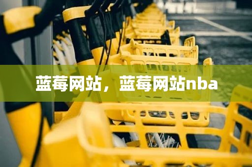 蓝莓网站，蓝莓网站nba