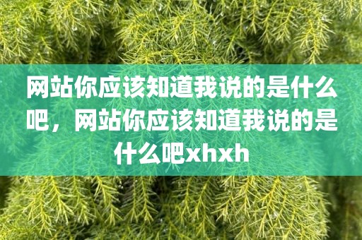 网站你应该知道我说的是什么吧，网站你应该知道我说的是什么吧xhxh