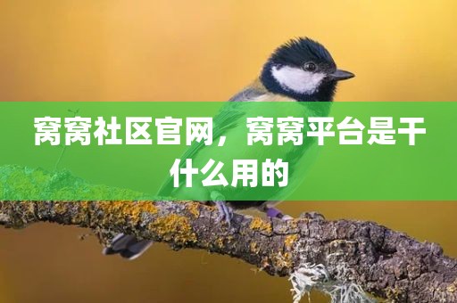 窝窝社区官网，窝窝平台是干什么用的