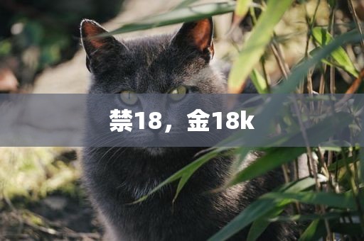 禁18，金18k