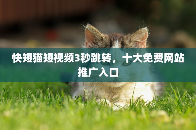快短猫短视频3秒跳转，十大免费网站推广入口