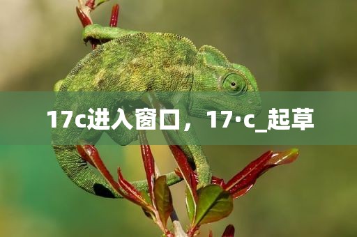 17c进入窗口，17·c_起草