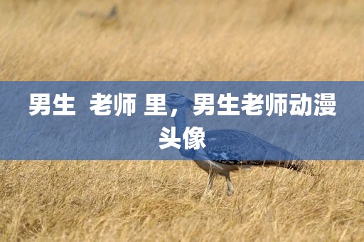 男生  老师 里，男生老师动漫头像