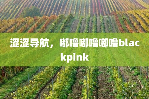 涩涩导航，嘟噜嘟噜嘟噜blackpink