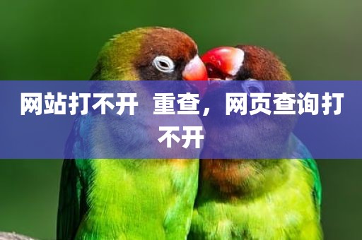 网站打不开  重查，网页查询打不开