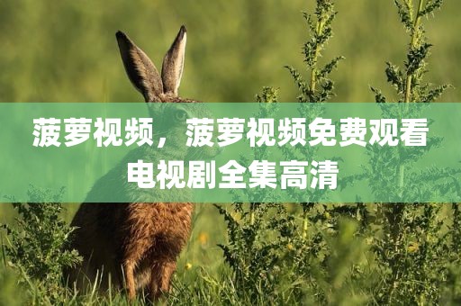 菠萝视频，菠萝视频免费观看电视剧全集高清
