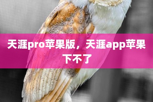 天涯pro苹果版，天涯app苹果下不了