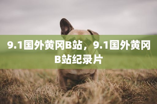 9.1国外黄冈B站，9.1国外黄冈B站纪录片