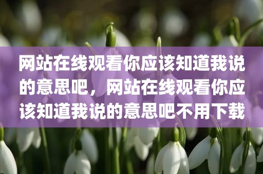 网站在线观看你应该知道我说的意思吧，网站在线观看你应该知道我说的意思吧不用下载