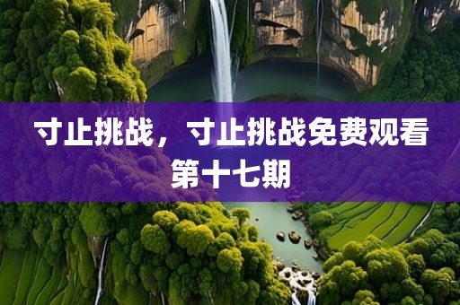 寸止挑战，寸止挑战免费观看第十七期