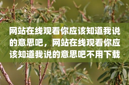 网站在线观看你应该知道我说的意思吧，网站在线观看你应该知道我说的意思吧不用下载