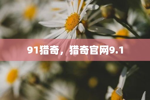 91猎奇，猎奇官网9.1