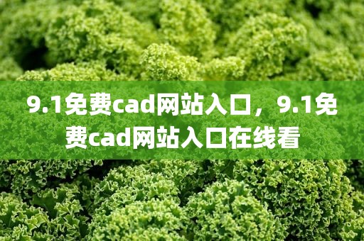 9.1免费cad网站入口，9.1免费cad网站入口在线看