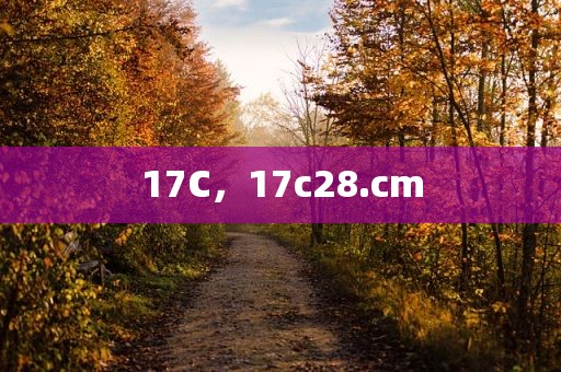 17C，17c28.cm