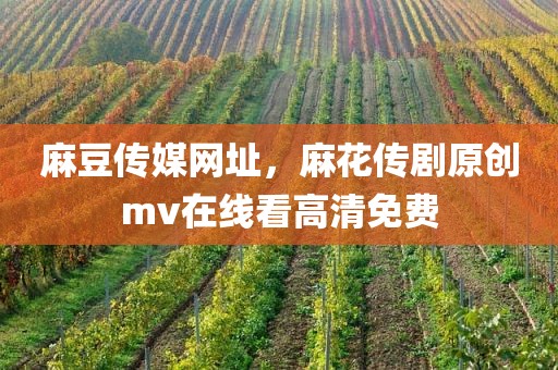 麻豆传媒网址，麻花传剧原创mv在线看高清免费