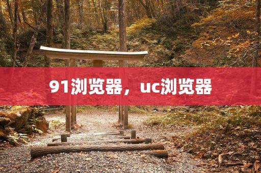91浏览器，uc浏览器