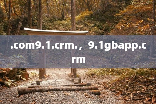 .com9.1.crm.，9.1gbapp.crm