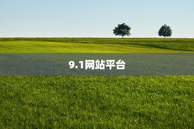 9.1网站平台
