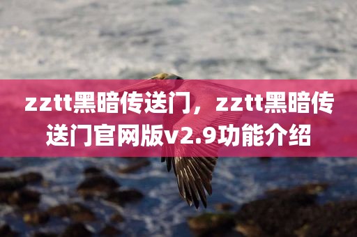 zztt黑暗传送门，zztt黑暗传送门官网版v2.9功能介绍