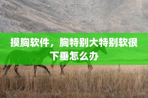 摸胸软件，胸特别大特别软很下垂怎么办