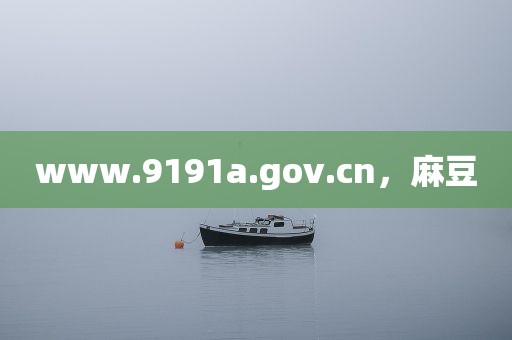 www.9191a.gov.cn，麻豆