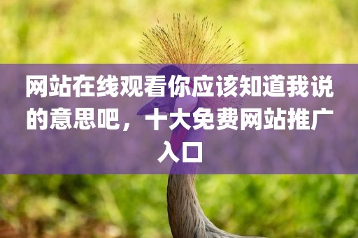 网站在线观看你应该知道我说的意思吧，十大免费网站推广入口
