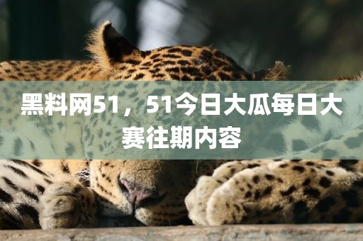 黑料网51，51今日大瓜每日大赛往期内容