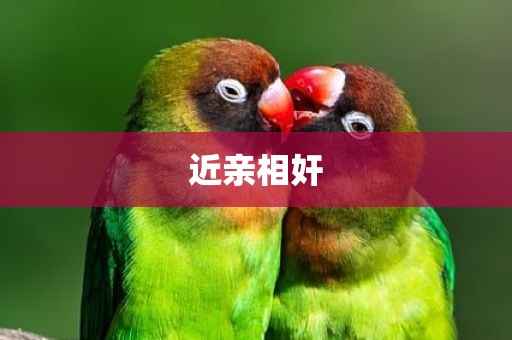 近亲相奸