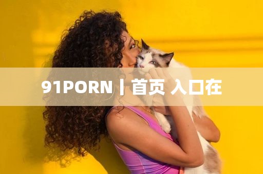 91PORN丨首页 入口在