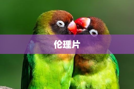 伦理片