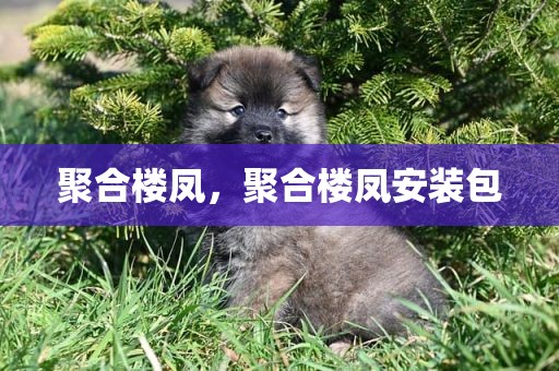 聚合楼凤，聚合楼凤安装包